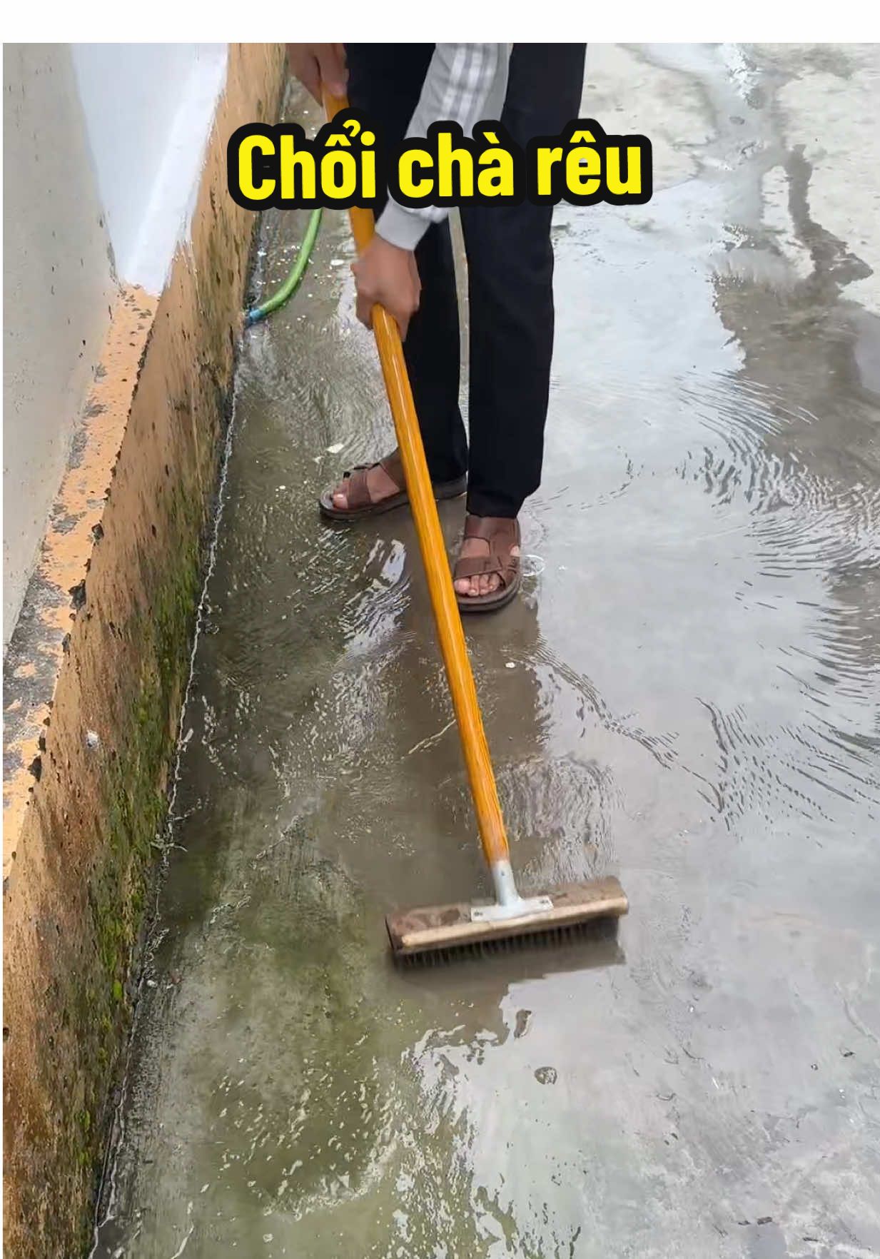 Chổi sắt k rỉ chà rong rêu , sân vườn , chuồng trại #choicharongreu #choivesinhsanvuon #choichareu 