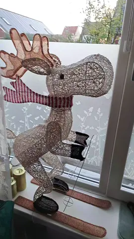 #christmas #nooittevroegvoorkerst #kerst2025 #lovechristmas🎅🏼  #houvankerst 