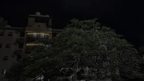 #foryou #fypシ゚ #foryoupage #explore #CapCut 