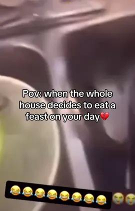 I think they invited some people to😞😂😂#wholelottaeverything#trending#fyp#viral#funnyvideos 