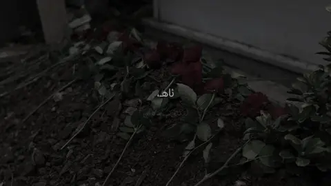 15/9#caveee #c1viie #fyp #foryou 