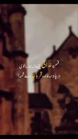 Part 79 | ʜᴀʀ ᴄʜᴀᴛᴀ ᴍᴀ ᴋʜᴀɴᴅᴀ ǫᴜʀʙᴀɴ ᴅɪ sʜᴀᴍᴀ ☺️ #pashtopoetry #foryoupage #viralvideo #foryou #xyzbcafypシ 