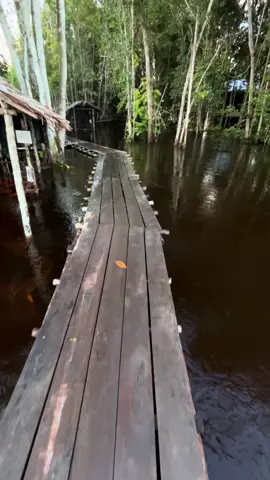 #fyp #xybca  wisata kalimantan