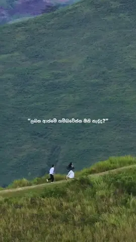 මං එක පොරොන්දු වෙනවා..!#tiktok #trending #viralvideo #foryoupage #viral 