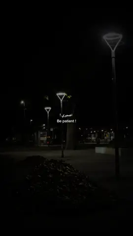 💔#fyp #greenscreen #standwithkashmir 