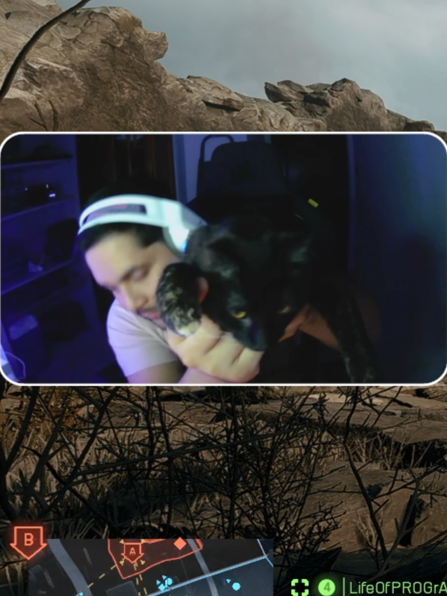 Martina les manda saludos 😂😂#youtubeshorts #gatostiktok #juego #fypシ゚ #twitch #kick #gamer #Gaago_25