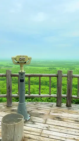 🎆 Kushiro Marshland (Hokkaido) / 釧路湿原 🇯🇵 [To Japan’s Largest Wetland!] Experience the wild beauty and extraordinary nature of Kushiro Marshland in eastern Hokkaido — a protected Ramsar site, and the largest wetland in Japan, even bigger than Tokyo’s 23 wards! Here, untouched land and rich wildlife thrive — including the elegant Red-crowned Crane (Tancho) 🕊️✨ ✨ 3 Must-Do Experiences 1️⃣ Canoe Adventure Through Nature Paddle along the Kushiro River into the deep marsh. From the water surface, the world feels completely different — you may even meet wild animals! 2️⃣ Scenic Views from Observatories Hosooka and Marshland Observatories offer stunning panoramic views of the winding river and endless wetlands. Sunset is absolutely breathtaking 🌅 3️⃣ Relaxing Wooden Boardwalk Walks Walk the boardwalk paths, observe seasonal plants and wild birds up close, and enjoy a peaceful moment away from the city noise. 📸 iPhone 16 Pro Max #KushiroMarshland #HokkaidoJapan #JapanNature #WildlifeJapan #RamsarSite      ––––––––––––––––––––––––– 🇯🇵 【日本最大の湿原へ！】 釧路湿原は、手つかずの大自然と多様な生き物が共存する 日本最大の湿原。ラムサール条約にも登録された大自然の宝庫です🌿 ✨ 釧路湿原で外せない3つの体験 1️⃣ カヌーで湿原探検 釧路川を進みながら、湿原の奥深くへ。 水面からの眺めはまさに別世界。 野生動物との出会いにも期待できます！ 2️⃣ 展望台から絶景鑑賞 細岡展望台や湿原展望台で見渡すパノラマは圧巻。 特に夕暮れは忘れられない美しさ🌅 3️⃣ 木道ウォークで自然観察 野鳥や季節の植物を間近で楽しめる木道散策。 都会では味わえない静かな時間が流れます🍃 📸 iPhone 16 Pro Max