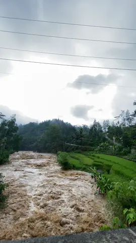 #promomakan1111 #fyp #foryoupage #trenggalek24jam 