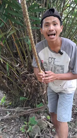 Alat tapok lambe🤣#fyppppppppppppppppppppppp 