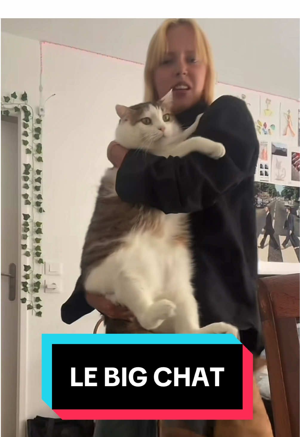 #commentairestiktok #musique #ia #groschat 