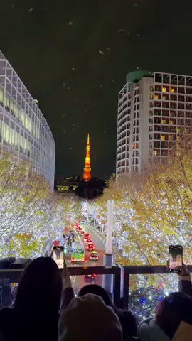 東京のイルミネーションといえばここ🗼🌟 撮影は去年のです 六本木のけやき坂イルミネーション #東京  #イルミネーション  #デート  #東京タワー 