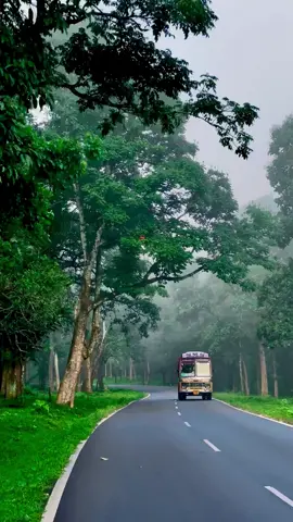 Wayanad 🍃☘️❤️