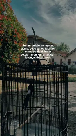 🙂  . . . . #storytime #sadstory #muraibatuindonesia 