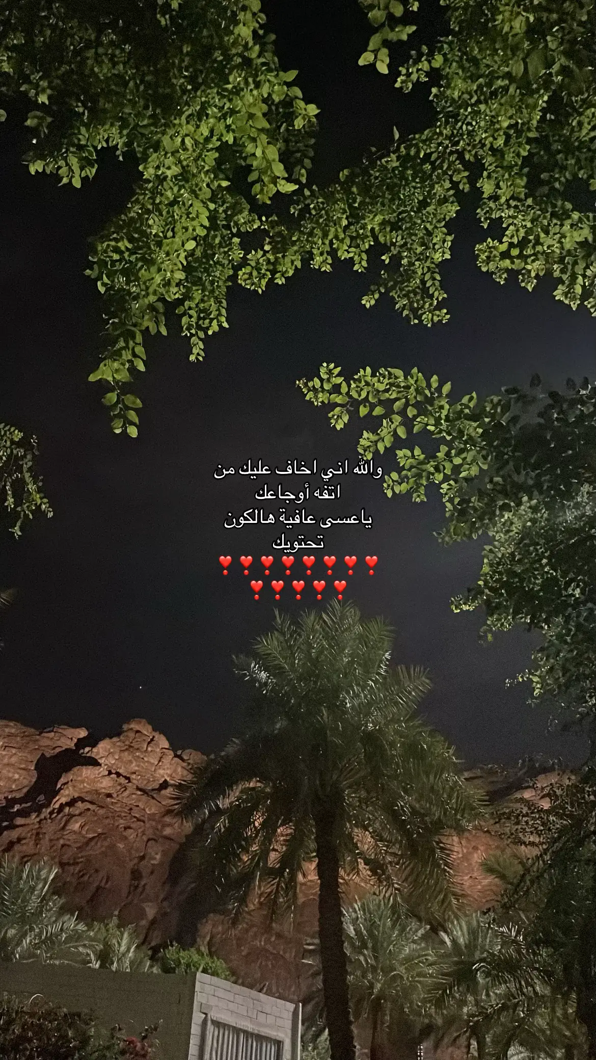 #اكسبلور #مالي_خلق_احط_هاشتاقات🦦 #شعب_الصيني_ماله_حل😂 