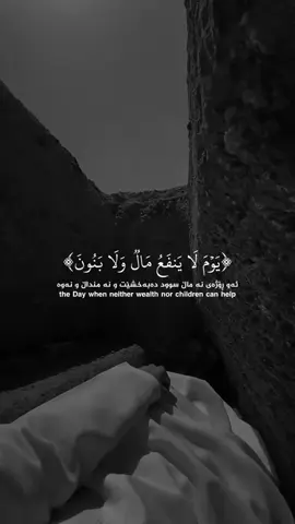 #قران_كريم #fyp #quran_alkarim #قران #quran 