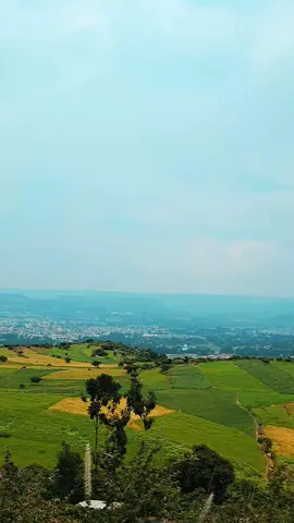 ሰላም 🕊️ ዓዲ-ግራት 📍 ዓጋመ  💚