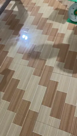 #thucung #cho #xuhuong #dethuong #chó 