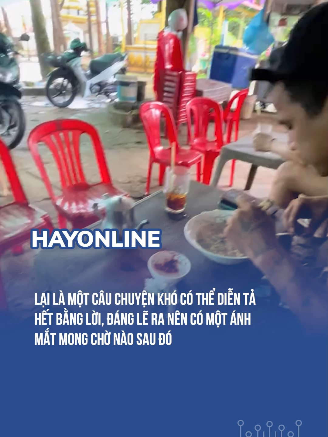 Lại là một câu chuyện khó có thể diễn tả hết bằng lời, đáng lẽ ra nên có một ánh mắt mong chờ nào sau đó  #LearnOnTikTok #xuhuongtiktok #eyeplusmedia #hayonline #AKTCĐ