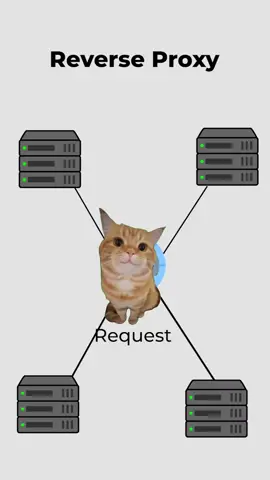 Reverse Proxy, explained by cats. #cat #coding #infrastructure #proxy #web