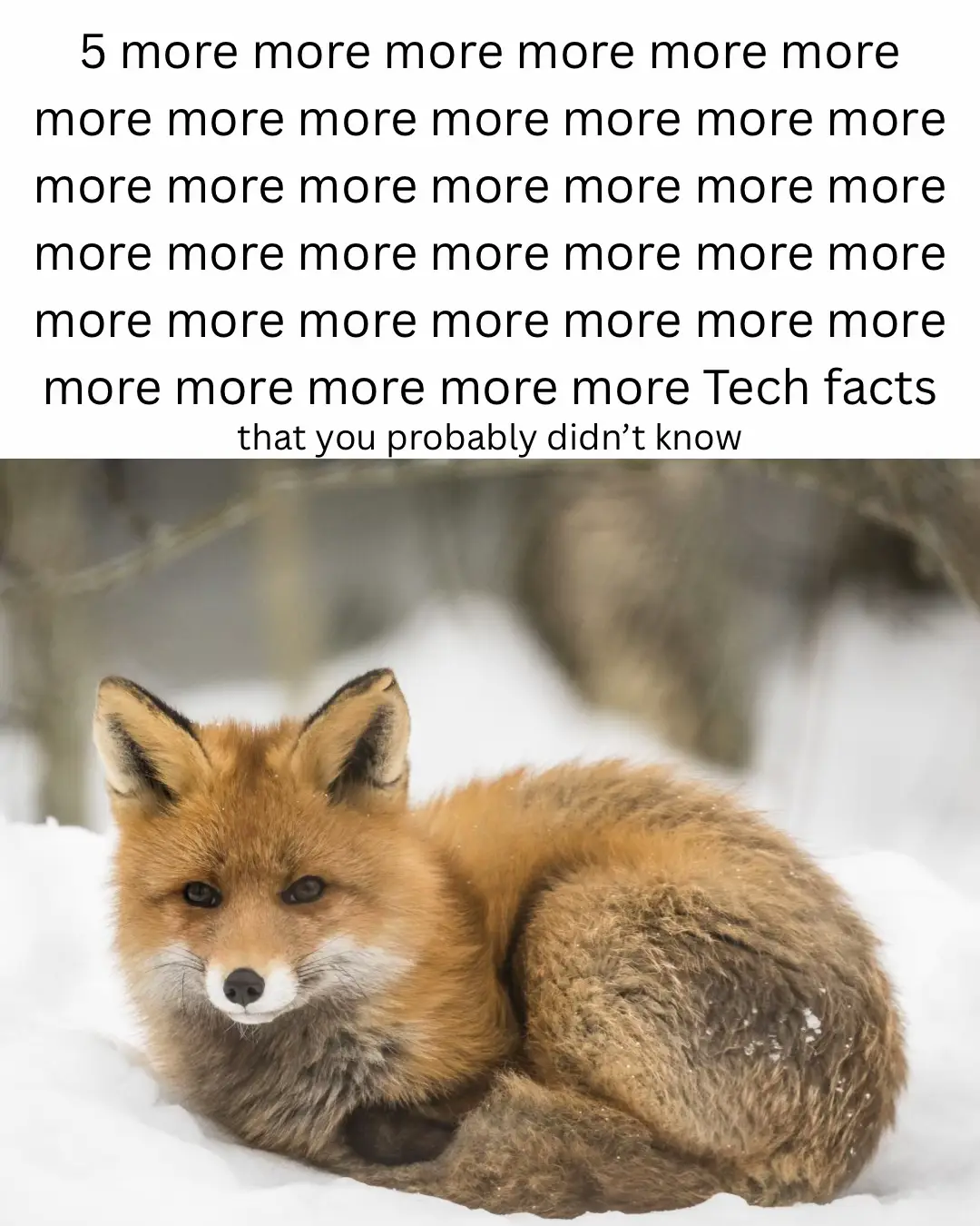 This one I’m posting early, 5 more tech facts yet again! Do y’all think it’s content farm? Because there’s someone hating on me for making these lol. Thank you all for 13k!!!! #fyp #techtok #furry #femboy #trans 