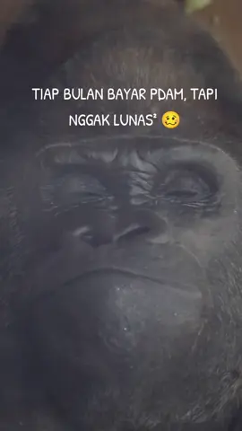 😀😀😀  #xyzbca #masukberanda #fyp #funny #fypシ゚viral 