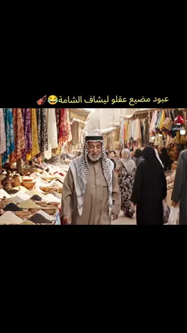 #ام_شامة #عبود_الشامي 