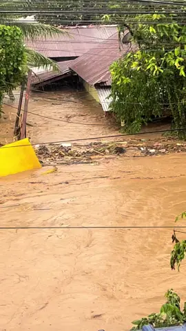 🐾 #dog #save #flood #fyyyppp #blowthisup