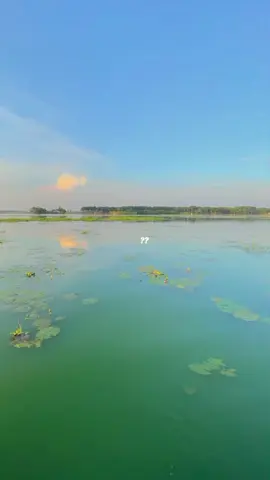 কেউ বুঝে নাই 😓❤️‍🩹 #foryou💗✨ #foryoupage🔥 #viral🙏 #viralvideo🔥 #unfrezzmyaccount @TikTok @TikTok Bangladesh 