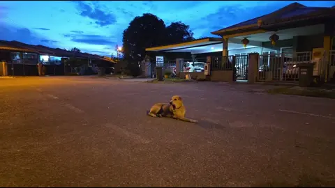 mr. @joji what an absolute legend.  #JOJI #newmusic #fyp #lyrics 