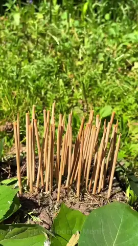 #fyp#foryou#foryoupage#viral#trending