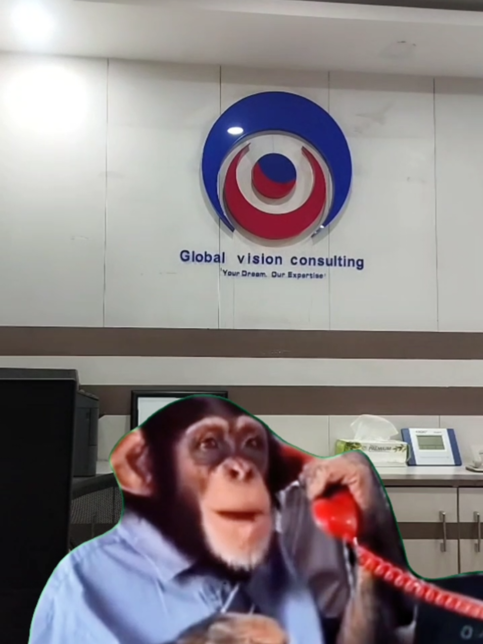 🫢 #Meme #MemeCut #CapCut 