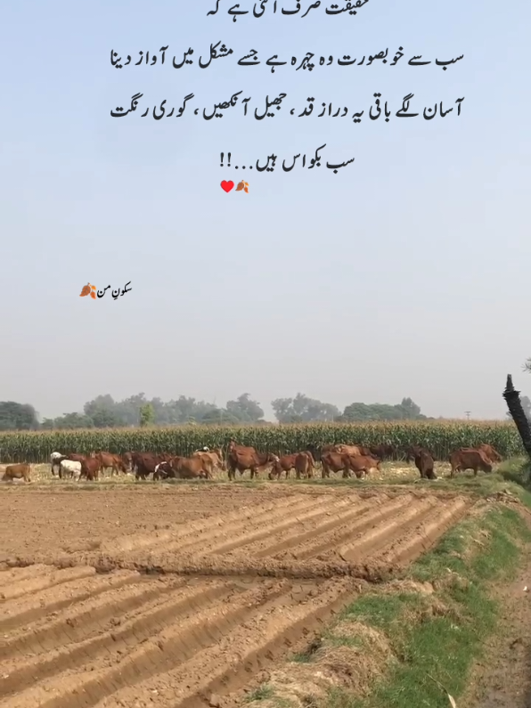 Deep lines💔🥺... #1millionviews #viralvideo #foryoupage #🥀🥺🖤 