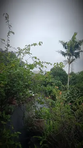 #teman #konten #fyppppppppppppppppppppppp #support_me 