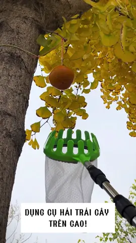 Dụng cụ hái trái cây trên cao #xuhuong #dodungtienich