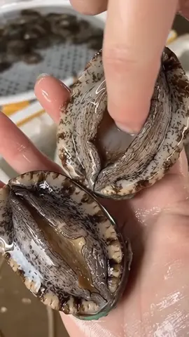 #fyp #seafood 