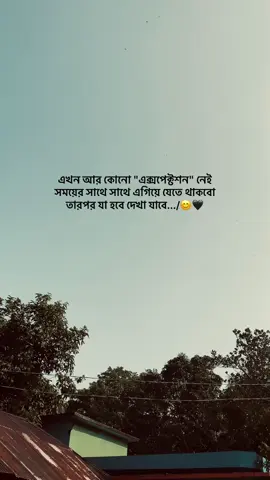 এখন আর কোনো 