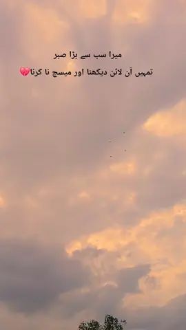 @Mera Pinda Sattoki 🌾🌾  @علی رضا بھٹی  @عادل بھٹی 😎🥷راجپوت بادشاہ 🤟@ℤ𝕠𝕙𝕒𝕚𝕓 𝔹𝕙𝕒𝕥𝕥𝕚 💸 