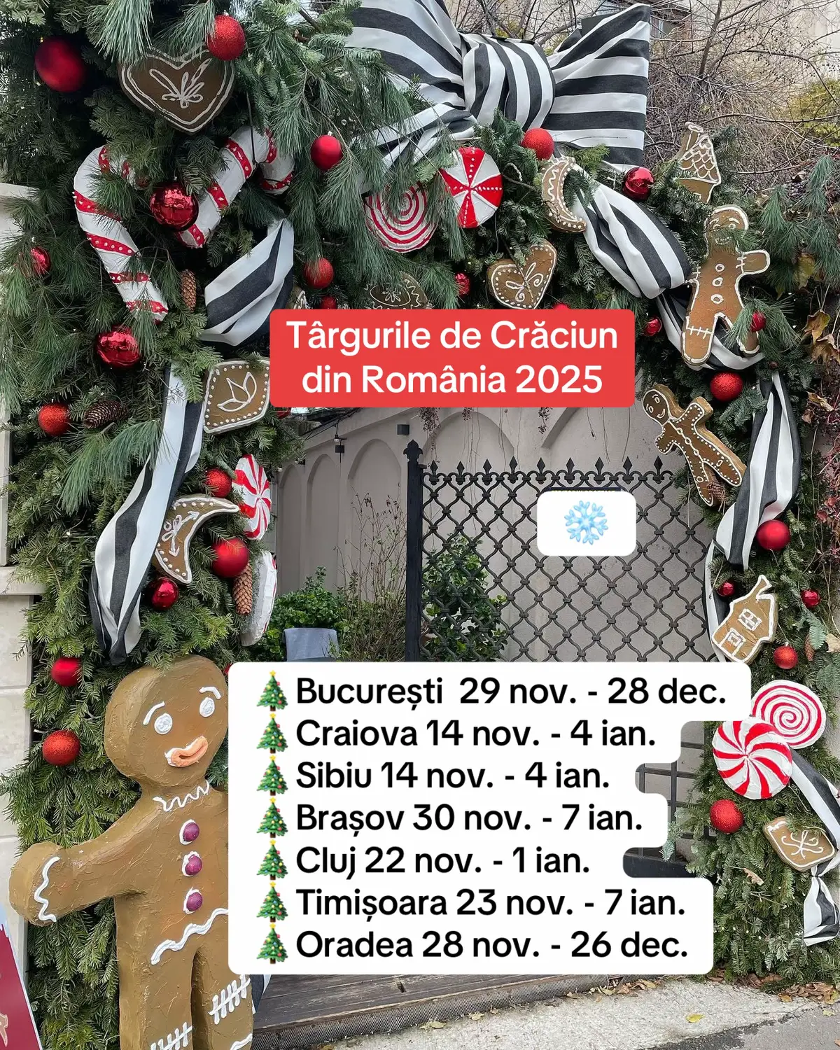 Când sunt deschise Târgurile de Crăciun 🎄București  29 nov. - 28 dec. 🎄Craiova 14 nov. - 4 ian. 🎄Sibiu 14 nov. - 4 ian. 🎄Brașov 30 nov. - 7 ian. 🎄Cluj 22 nov. - 1 ian.  🎄Timișoara 23 nov. - 7 ian. 🎄Oradea 28 nov. - 26 dec. #fyp #românia #targuridecraciun 