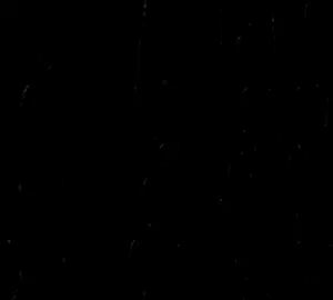 جان يموت بيهه . . . . !!!#fypppppppppppppp #ryomensukuna #اغاني #اكسبلور #fypp 