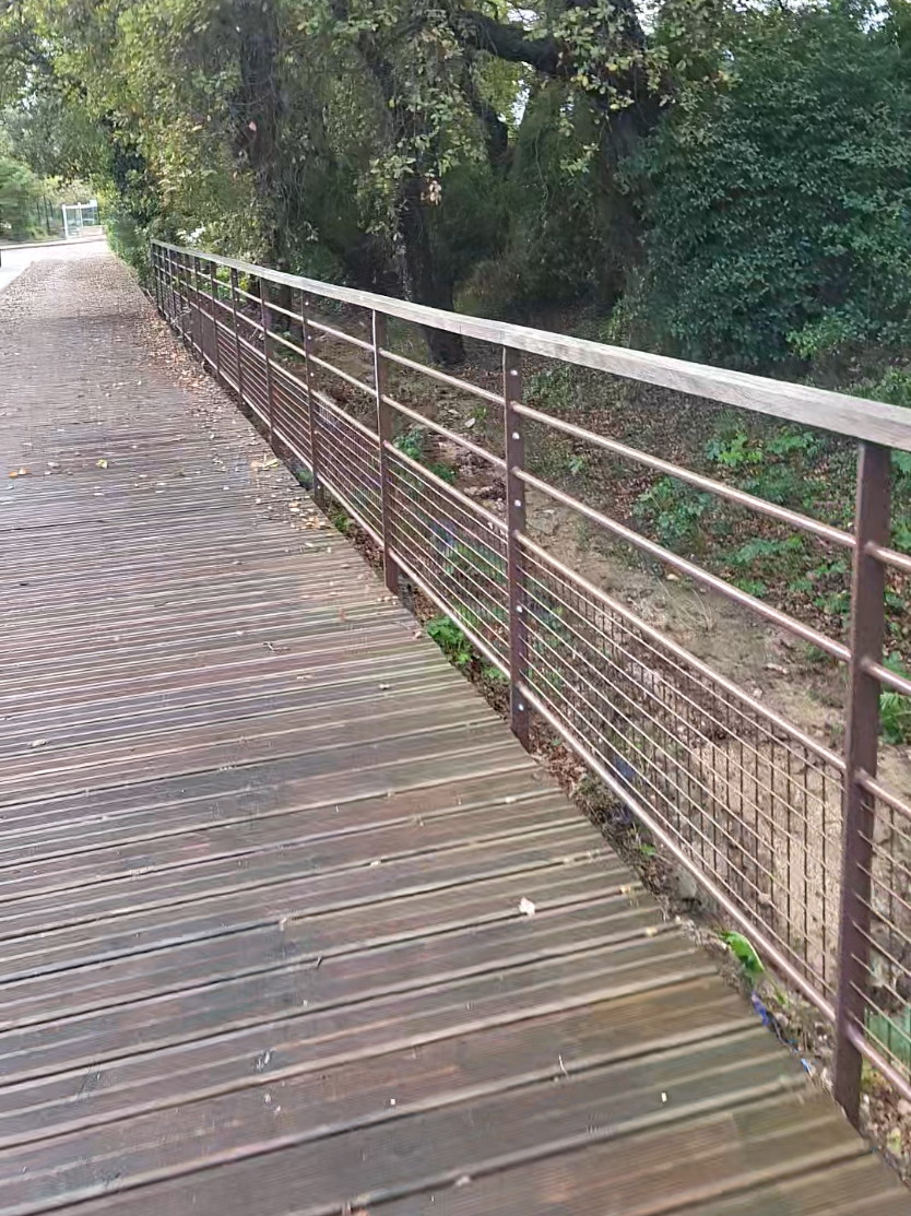 #naturevibes #sportslover 