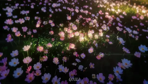 “Nếu một bông hoa không còn thơm, xin đừng trách nó, vì có thể, nó đã dành hương cho sai người.” #xuhuongg #hoa #caption #chill 