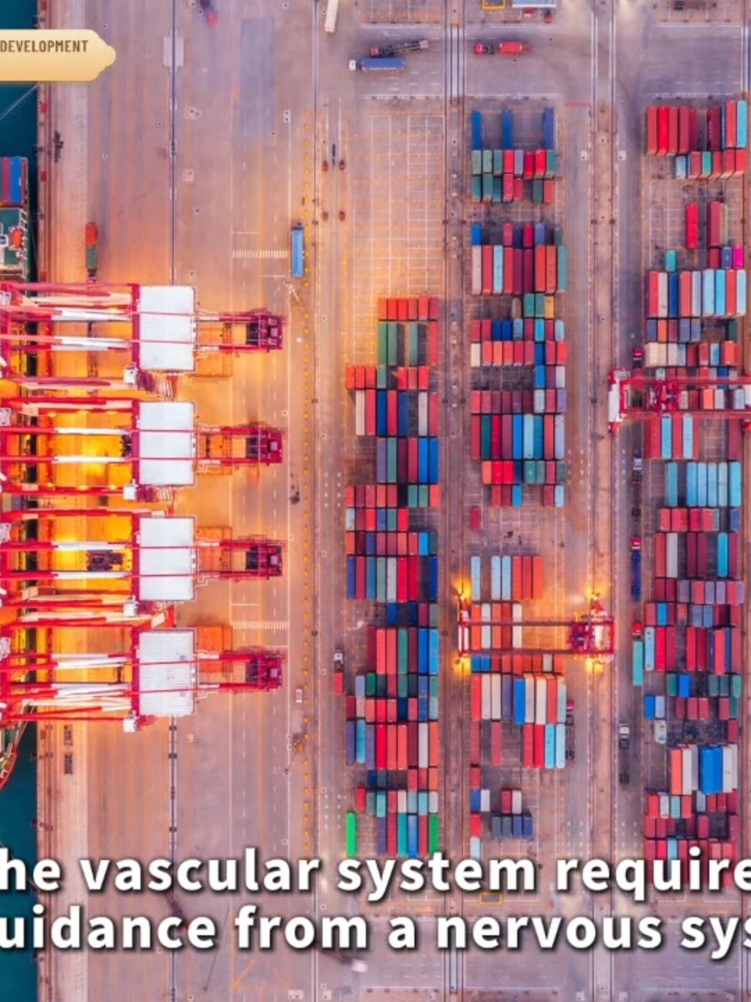 Building a modern logistics system in China: From ancient roads to intelligent delivery