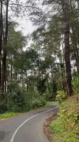 #fyppppppppppppppppppppppp 