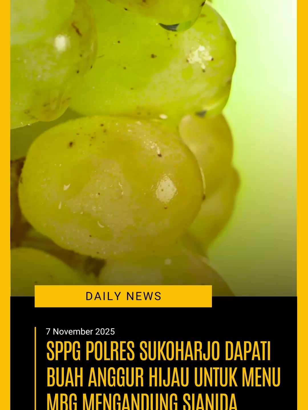 Sebuah insiden serius berhasil digagalkan berkat kewaspadaan Satuan Pelayanan Pemenuhan Gizi (SPPG) Polres Sukoharjo! Buah anggur hijau impor yang rencananya akan disajikan dalam program Makanan Bergizi Gratis (MBG) untuk siswa, ditemukan terkontaminasi zat kimia mematikan: Sianida (CN)! 😱 Kapolres Sukoharjo, AKBP Anggaito Hadi Prabowo, didampingi Kasi Dokkes Polres Sukoharjo Iptu Lilik dan Kepala Dinas Pangan Kabupaten Sukoharjo Endang Tien, menjelaskan bahwa temuan mengejutkan ini terjadi pada Kamis (6/11/2025). Petugas SPPG menemukan kandungan sianida sekitar 30 miligram pada sampel buah anggur hijau tersebut. Bayangkan, jumlah ini sangat berbahaya jika sampai dikonsumsi! Bagaimana bisa terdeteksi? Beruntung, SPPG Polres Sukoharjo memiliki standar operasional prosedur (SOP) pemeriksaan bahan baku yang sangat ketat. Setiap hari, bahan makanan yang akan disajikan keesokan harinya wajib melalui dua metode pemeriksaan: metode manual (fisik dan organoleptik) dan metode kimia menggunakan alat rapid test. 