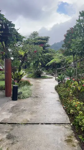 #Indonesia🇮🇩Puncak 