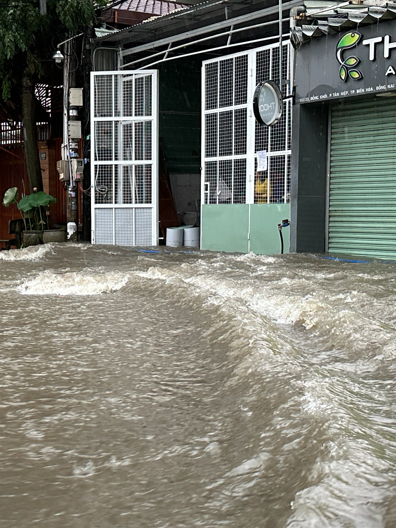 Đồng Nai: Một số hình ảnh về mưa chiều ngày 7/11/2025 tại Biên Hoà #tintuc24h #tintucdongnai24h #xuhuong #fyp #news #tintuc  #dongnai #bienhoadongnai #bienhoa #dansinh #dongnai60 #binhphuoc93 #binhphuoc #dongxoai #dongxoaibinhphuoc