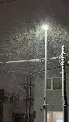 Mùa tuyết thứ 4🥲🥲