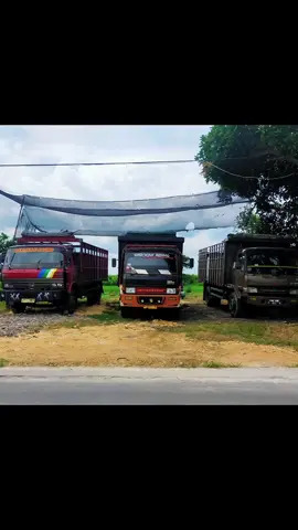 yo pewaris yo perintis bolo tak lanjutno perjuanganmu pak 👊😉 #barokahagungputra #jasaangkutanbarang #angkutanbarang #jasakirimbarang @FaridMCrot 