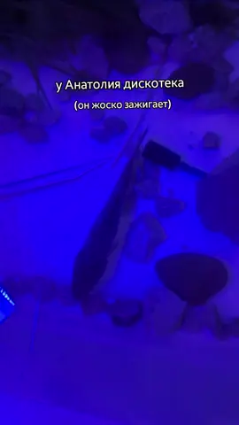 он крутой#анатоля #карась#рыбкаанатолий 