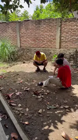 bantu follow teman' 🙏 akun baru omped 📍 #omped #omped_visual #foryou #xybca #fypシ゚ 